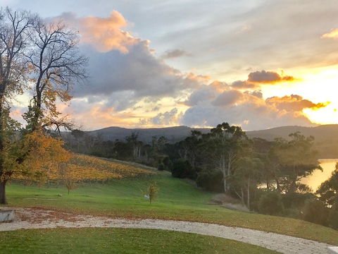 Waterton Hall Wines - Tourism Canberra 1