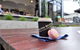 Dancing Bean Specialty Roasters And Espresso Bar - thumb 0