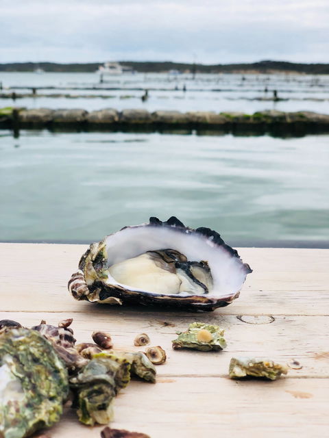 Oyster HQ - Tourism Canberra 1