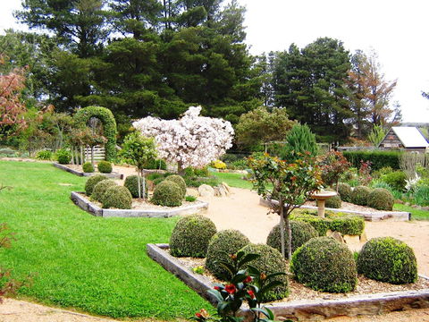 The Scented Rose Garden And Teahouse - Tourism Canberra 2