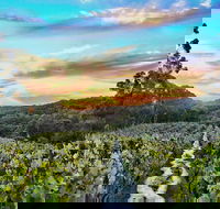 Between the Vines Cellar Door - Tourism Canberra