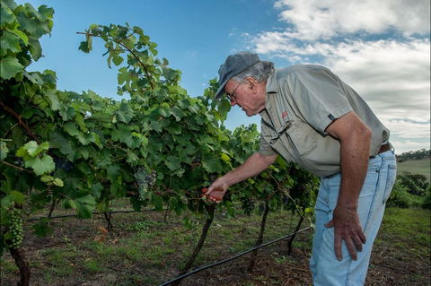 Vale Creek Wines - Tourism Canberra 2