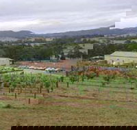 Villa d Esta Vineyard - Tourism Canberra