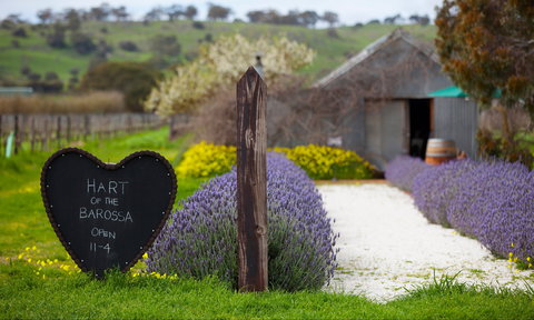 Hart Of The Barossa - Tourism Canberra 0