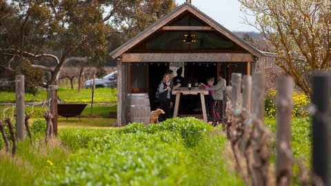 Hart Of The Barossa - Tourism Canberra 1