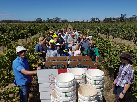 The Shiraz Republic - Tourism Canberra 1