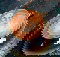 Fox  Rabbit Coffee Co. - Tourism Canberra