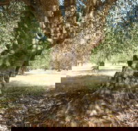 Lentara Grove - Tourism Canberra