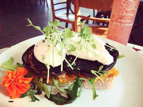 Succulent Cafe - Tourism Canberra 0
