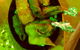 Bengal Kitchen - thumb 1