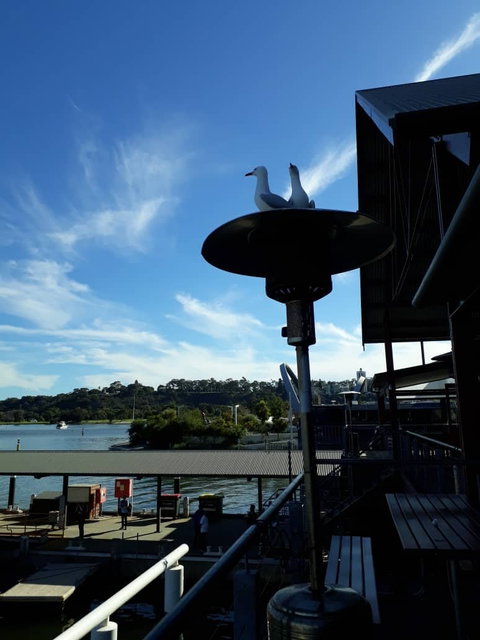Annalakshmi On The Swan - Tourism Canberra 2