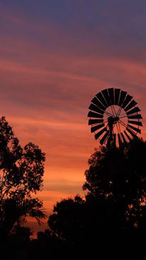Emerald Springs Roadhouse - Tourism Canberra 4