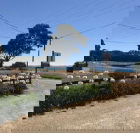 Penguin  Pardalote Coffee House - Tourism Canberra