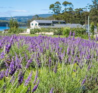 Port Arthur Lavender - Tourism Canberra