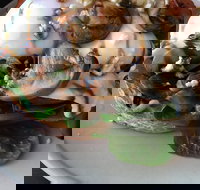 Hedgehogs Cafe - Tourism Canberra