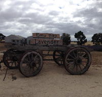 Emu Bay Lavender - Tourism Canberra