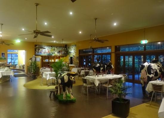 Jaggan QLD Tourism Canberra
