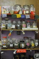 The Closet Hippy - Tourism Canberra 4