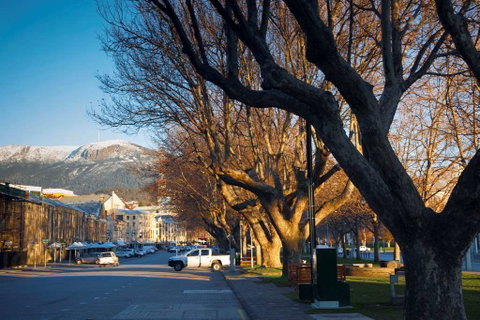 Salamanca Terraces - Tourism Canberra 8
