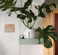 ACE Hotel Sydney - Tourism Canberra