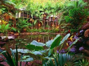 Daintree Eco Lodge & Spa - Tourism Canberra 0