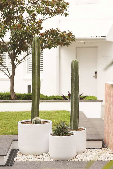 Adina Apartment Hotel Chippendale - Tourism Canberra 0