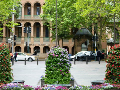 Mercure Sydney Martin Place - Tourism Canberra 16