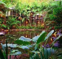 Daintree Eco Lodge  Spa - Tourism Canberra