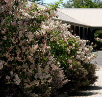 Wine Village Motor Inn - Tourism Canberra