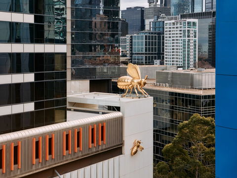 Mercure Newcastle - Tourism Canberra 15