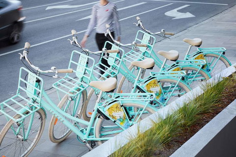 The Chen - Art Series - Tourism Canberra 12