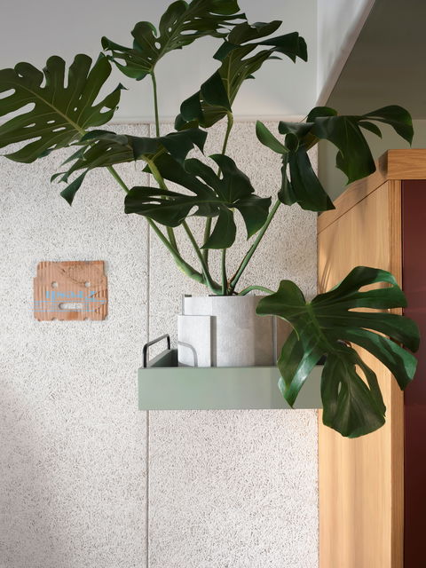 ACE Hotel Sydney - Tourism Canberra 0