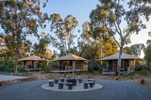 Discovery Parks Barossa Valley - Tourism Canberra 0
