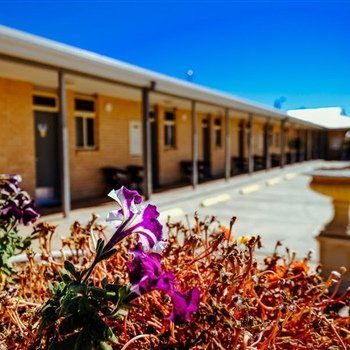MAS Country Club Motor Inn - Tourism Canberra 1
