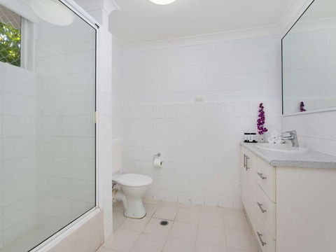 Cairns City Palms - Tourism Canberra 1