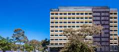 Mantra MacArthur Hotel - Tourism Canberra 0