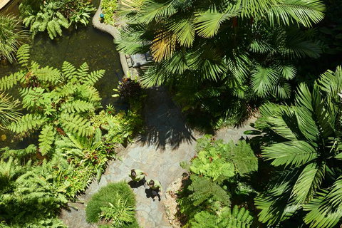 DoubleTree by Hilton Cairns - Tourism Canberra 2