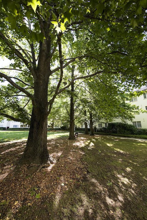 University House - ANU - Tourism Canberra 28