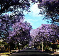 Monaco Court Apartment Adelaide - Tourism Canberra