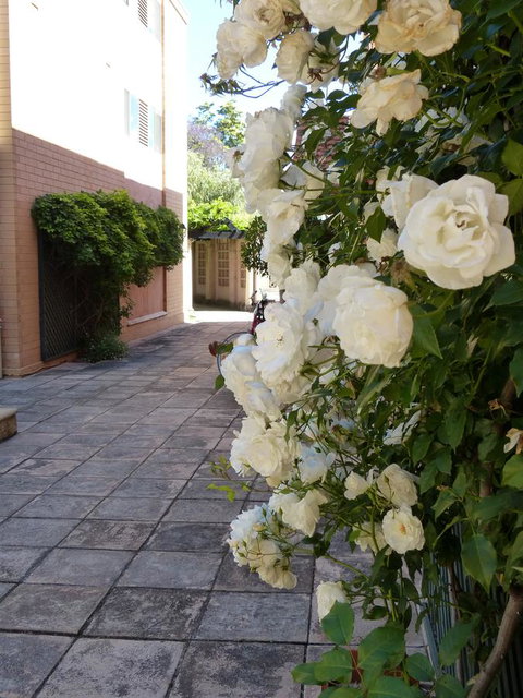 Monaco Court Apartment Adelaide - Tourism Canberra 19