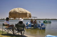 Book Barmera Accommodation Vacations Tourism Canberra Tourism Canberra