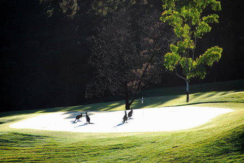 SkyView Villa - Tourism Canberra 3