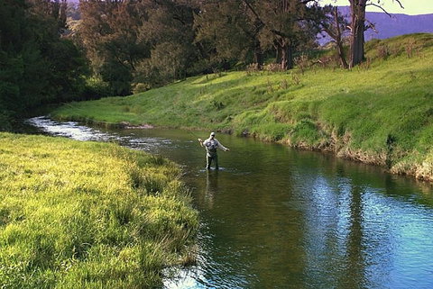 SkyView Villa - Tourism Canberra 17