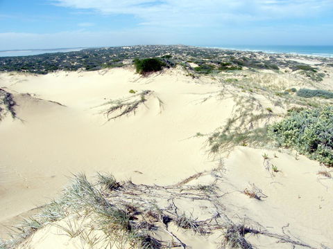 Coorong Waterfront Retreat - Tourism Canberra 32