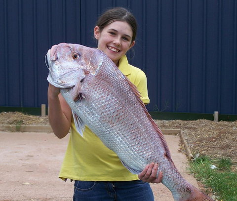 Discovery Parks - Whyalla Foreshore - Tourism Canberra 17