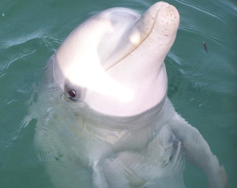 Discovery Parks - Whyalla Foreshore - Tourism Canberra 18