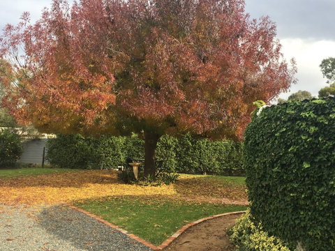 Barossa Retro BnB - Tourism Canberra 30