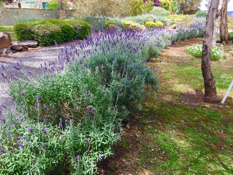 Barossa Retro BnB - Tourism Canberra 23