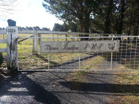 Three Linden - Tourism Canberra 6