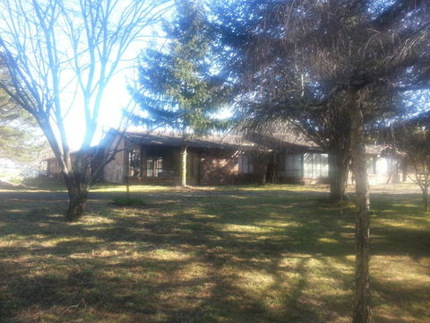 Three Linden - Tourism Canberra 5